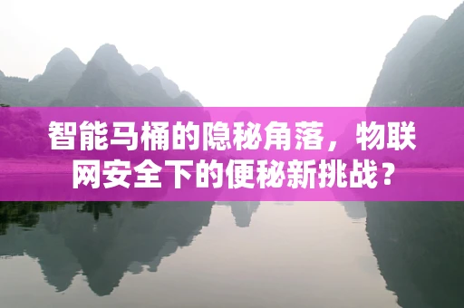 智能马桶的隐秘角落，物联网安全下的便秘新挑战？