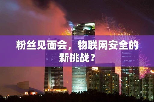 粉丝见面会，物联网安全的新挑战？