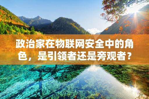 政治家在物联网安全中的角色，是引领者还是旁观者？