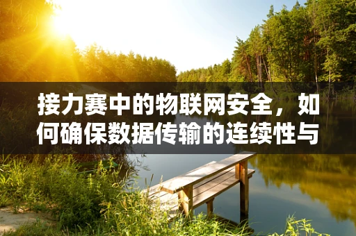 接力赛中的物联网安全，如何确保数据传输的连续性与安全性？