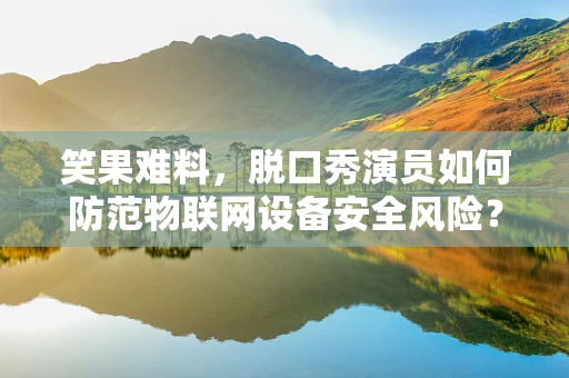 笑果难料，脱口秀演员如何防范物联网设备安全风险？