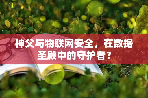 神父与物联网安全，在数据圣殿中的守护者？
