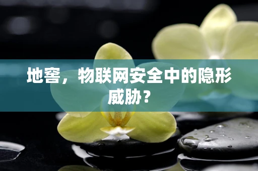 地窖，物联网安全中的隐形威胁？