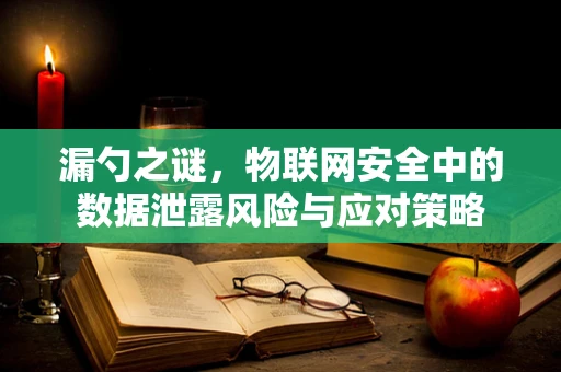 漏勺之谜，物联网安全中的数据泄露风险与应对策略
