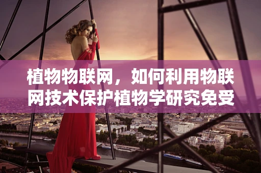 植物物联网，如何利用物联网技术保护植物学研究免受安全威胁？
