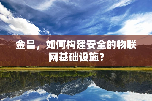 金昌，如何构建安全的物联网基础设施？