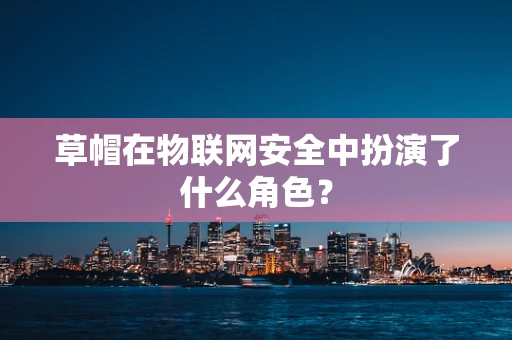 草帽在物联网安全中扮演了什么角色？