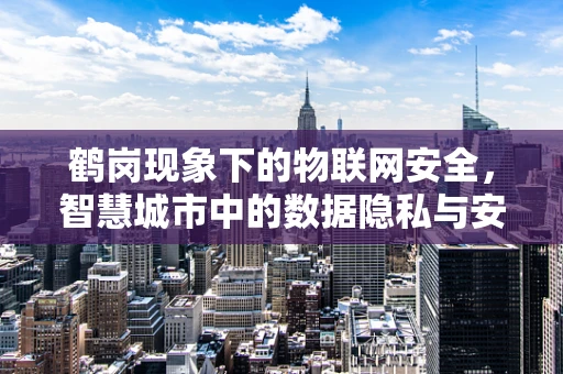 鹤岗现象下的物联网安全，智慧城市中的数据隐私与安全挑战？