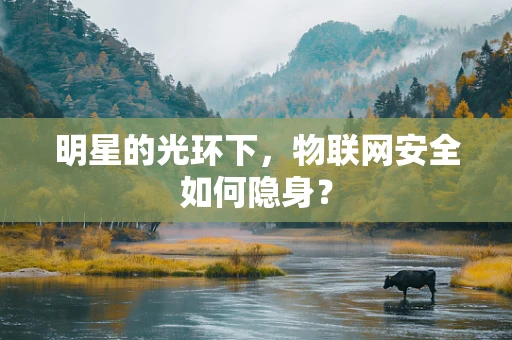 明星的光环下，物联网安全如何隐身？