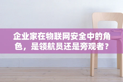 企业家在物联网安全中的角色，是领航员还是旁观者？