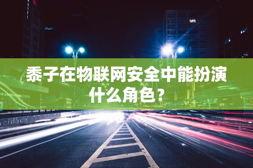黍子在物联网安全中能扮演什么角色？