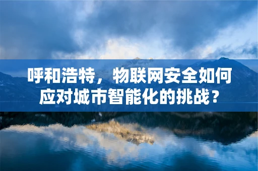 呼和浩特，物联网安全如何应对城市智能化的挑战？
