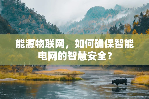 能源物联网，如何确保智能电网的智慧安全？
