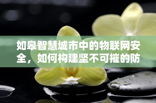 如皋智慧城市中的物联网安全，如何构建坚不可摧的防御网？
