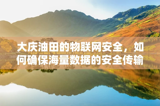 大庆油田的物联网安全，如何确保海量数据的安全传输？