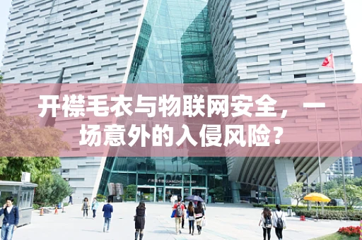 开襟毛衣与物联网安全，一场意外的入侵风险？