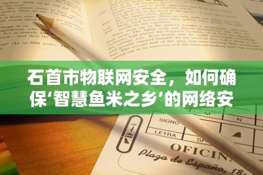 石首市物联网安全，如何确保‘智慧鱼米之乡’的网络安全？