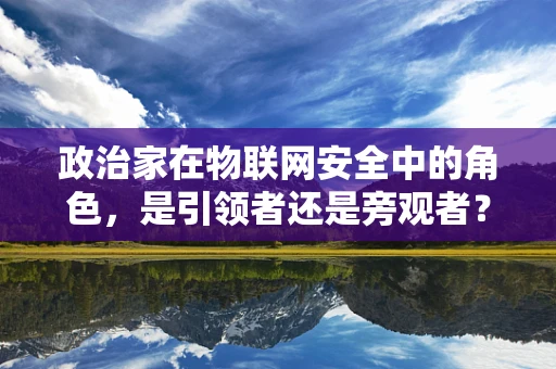 政治家在物联网安全中的角色，是引领者还是旁观者？