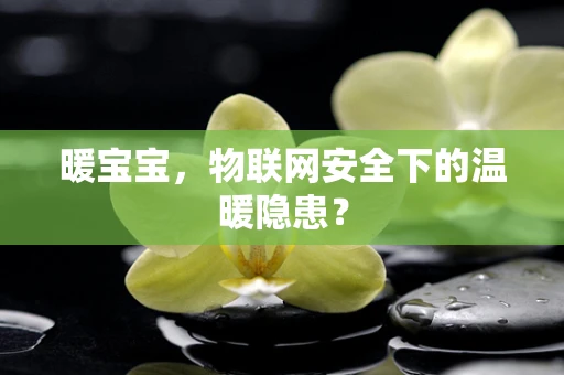 暖宝宝，物联网安全下的温暖隐患？