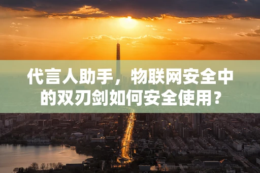 代言人助手，物联网安全中的双刃剑如何安全使用？