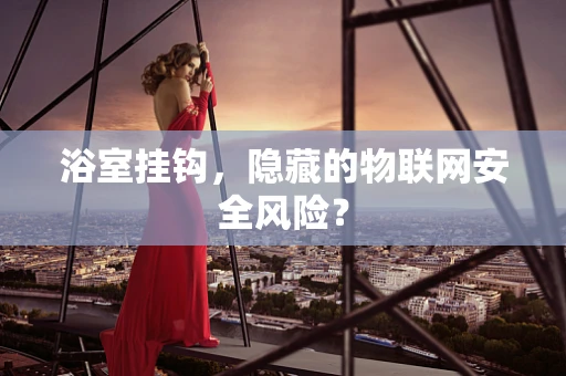 浴室挂钩，隐藏的物联网安全风险？