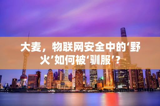 大麦，物联网安全中的‘野火’如何被‘驯服’？