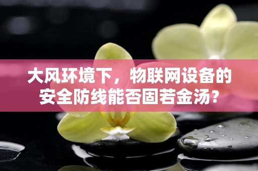 大风环境下，物联网设备的安全防线能否固若金汤？