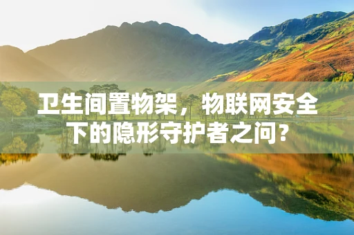 卫生间置物架，物联网安全下的隐形守护者之问？