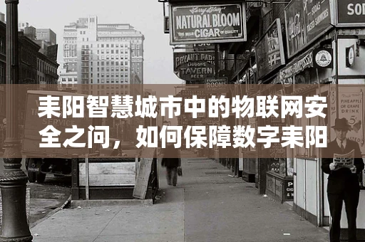 耒阳智慧城市中的物联网安全之问，如何保障数字耒阳的坚实防线？