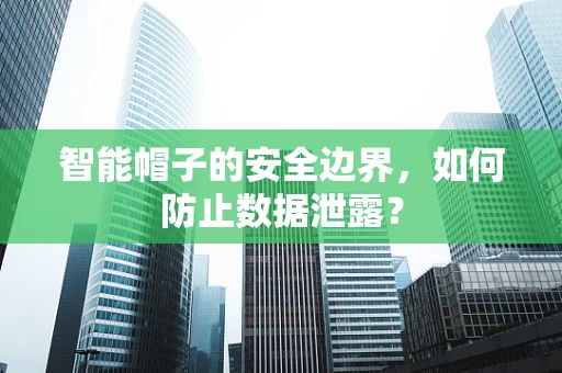 智能帽子的安全边界，如何防止数据泄露？