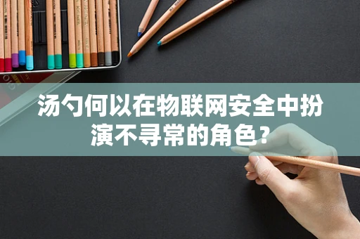 汤勺何以在物联网安全中扮演不寻常的角色？