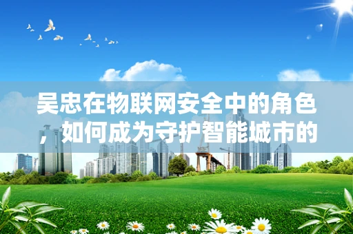 吴忠在物联网安全中的角色，如何成为守护智能城市的关键？