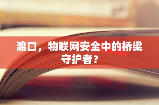 渡口，物联网安全中的桥梁守护者？