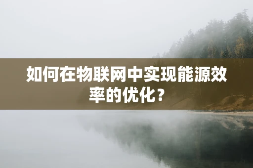 如何在物联网中实现能源效率的优化？