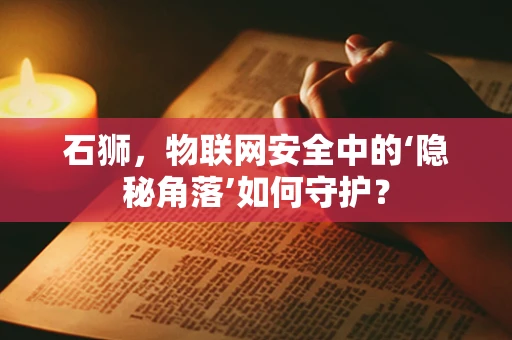 石狮，物联网安全中的‘隐秘角落’如何守护？