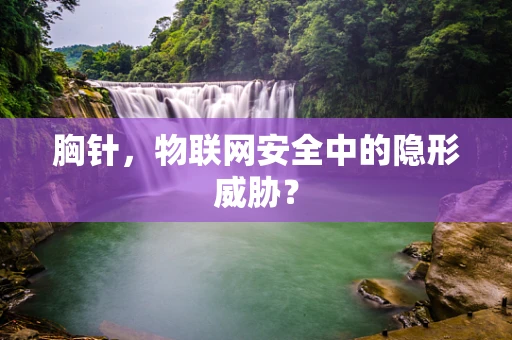 胸针，物联网安全中的隐形威胁？