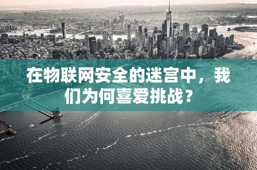 在物联网安全的迷宫中，我们为何喜爱挑战？