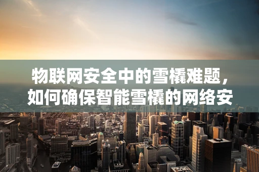 物联网安全中的雪橇难题，如何确保智能雪橇的网络安全？