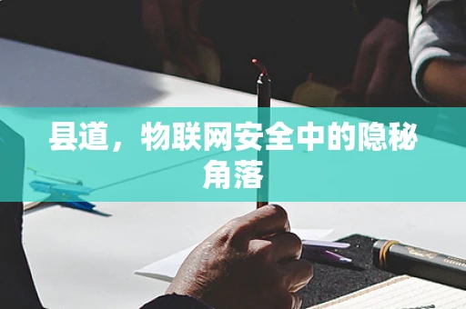 县道，物联网安全中的隐秘角落