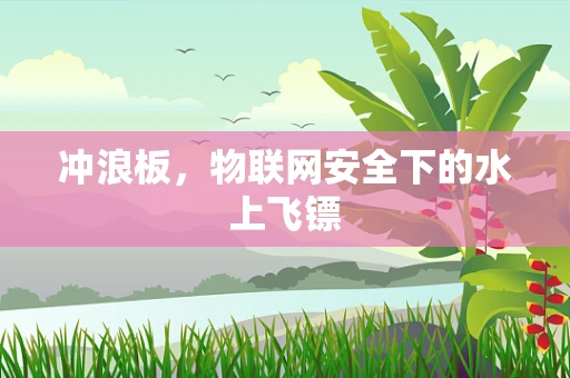 冲浪板，物联网安全下的水上飞镖