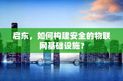 启东，如何构建安全的物联网基础设施？