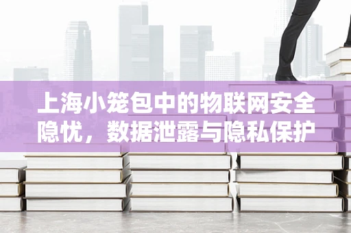 上海小笼包中的物联网安全隐忧，数据泄露与隐私保护的平衡
