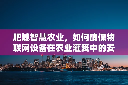 肥城智慧农业，如何确保物联网设备在农业灌溉中的安全？