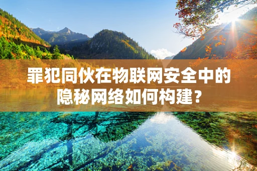 罪犯同伙在物联网安全中的隐秘网络如何构建？