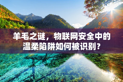 羊毛之谜，物联网安全中的温柔陷阱如何被识别？