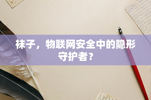 袜子，物联网安全中的隐形守护者？