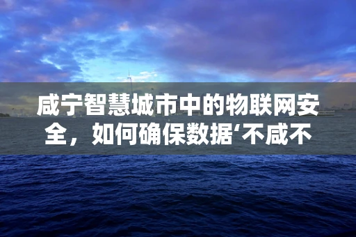 咸宁智慧城市中的物联网安全，如何确保数据‘不咸不淡’？
