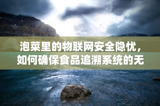 泡菜里的物联网安全隐忧，如何确保食品追溯系统的无懈可击？