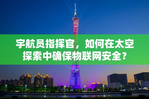 宇航员指挥官，如何在太空探索中确保物联网安全？