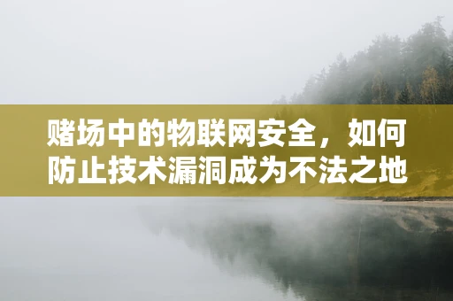 赌场中的物联网安全，如何防止技术漏洞成为不法之地的后门？